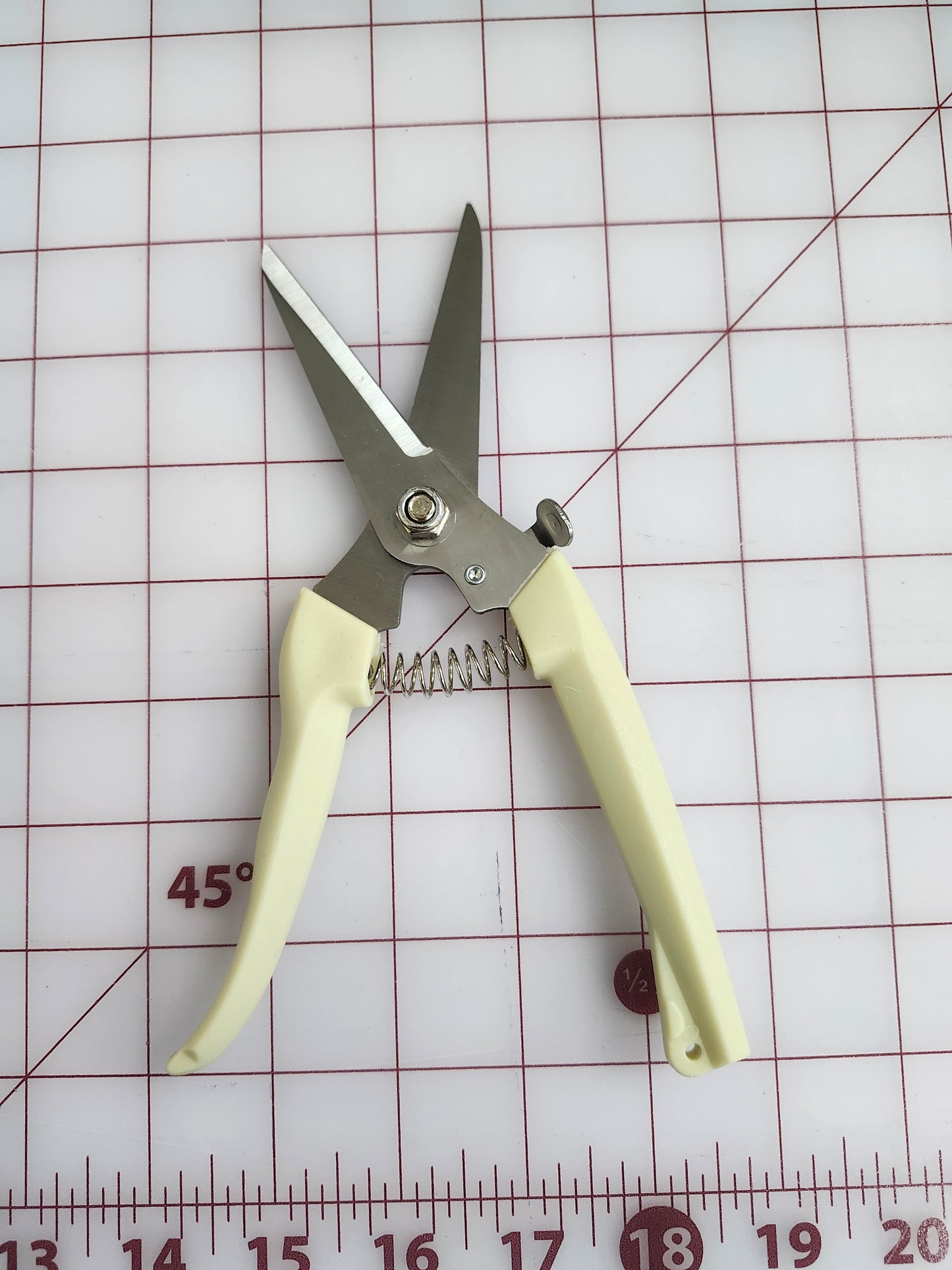 Snips