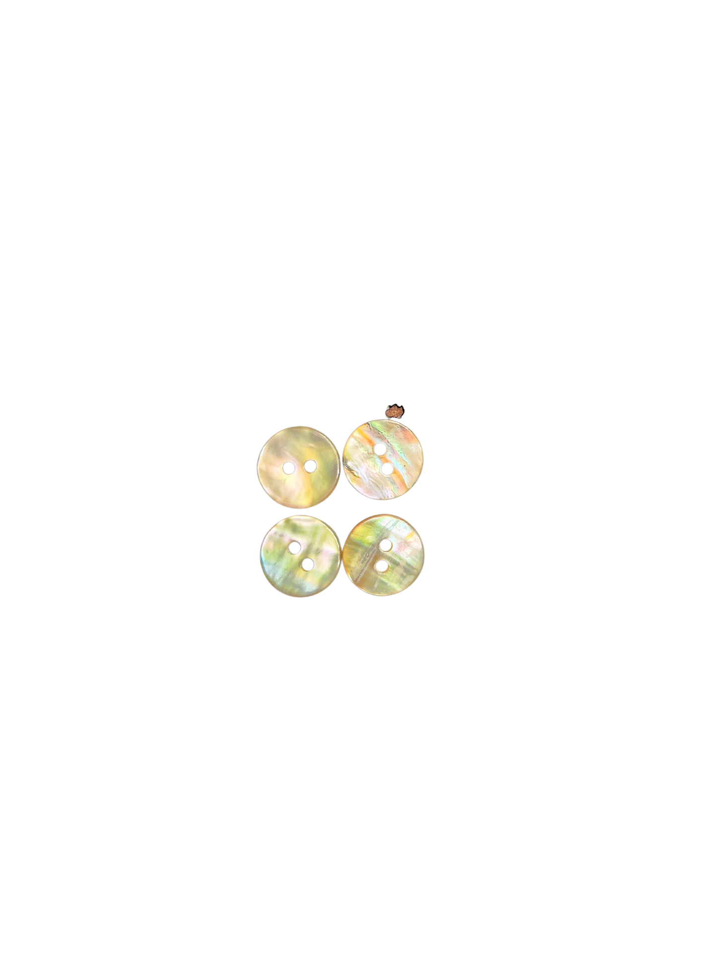 12mm Abalone Buttons