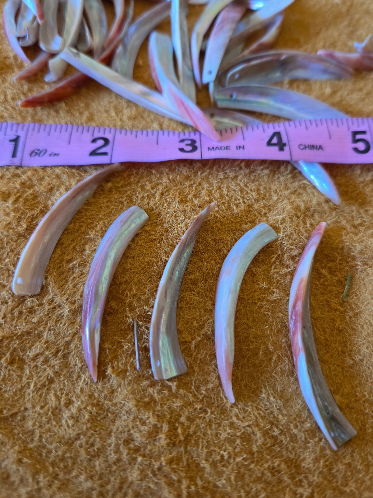 Abalone Tusk