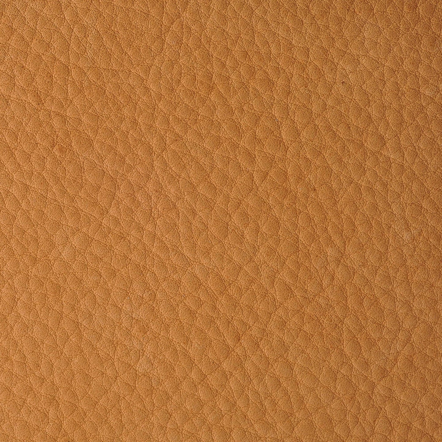 Deertan Leather Trim, 9" x 3"
