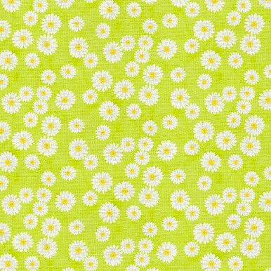 Daisy Garden
