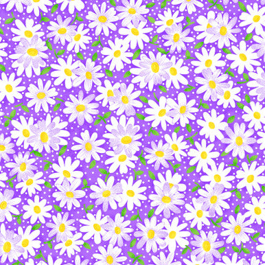 Daisy Delight