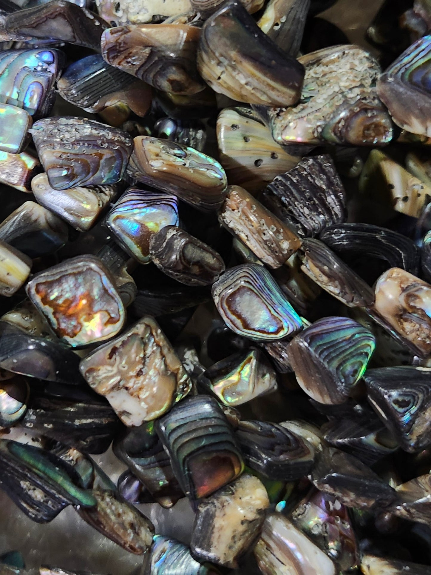 Abalone & Shell Strands