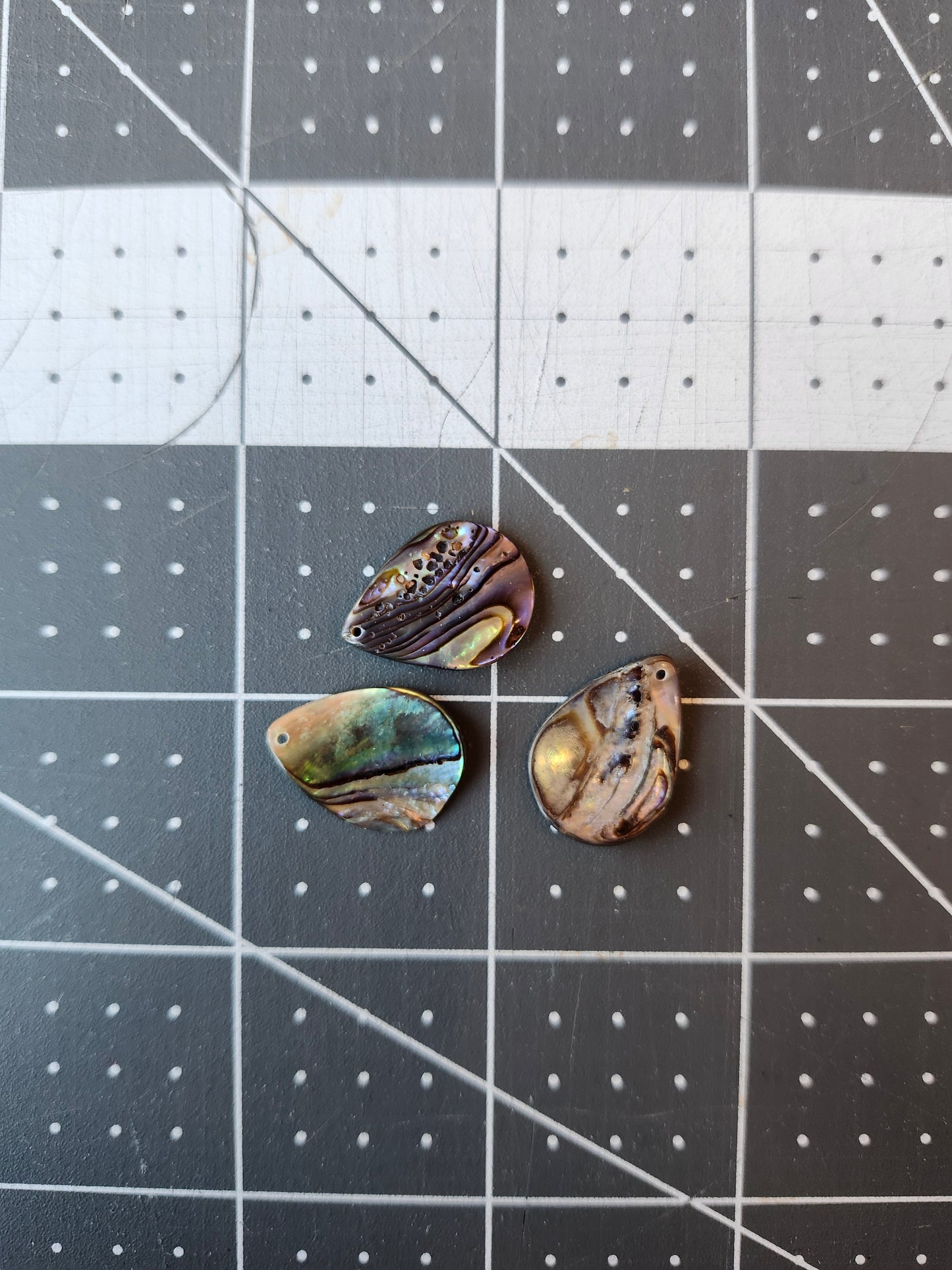 Abalone Pairs