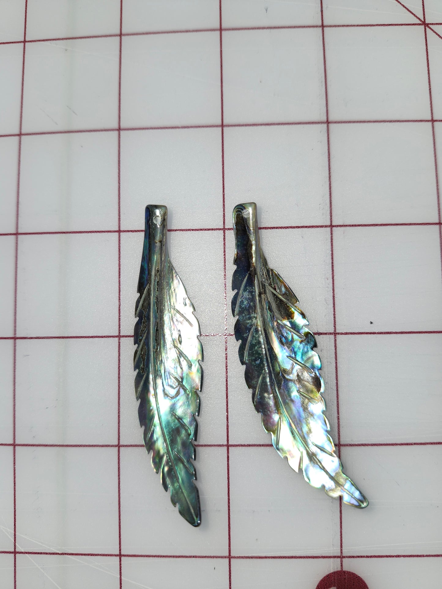 Abalone Feathers