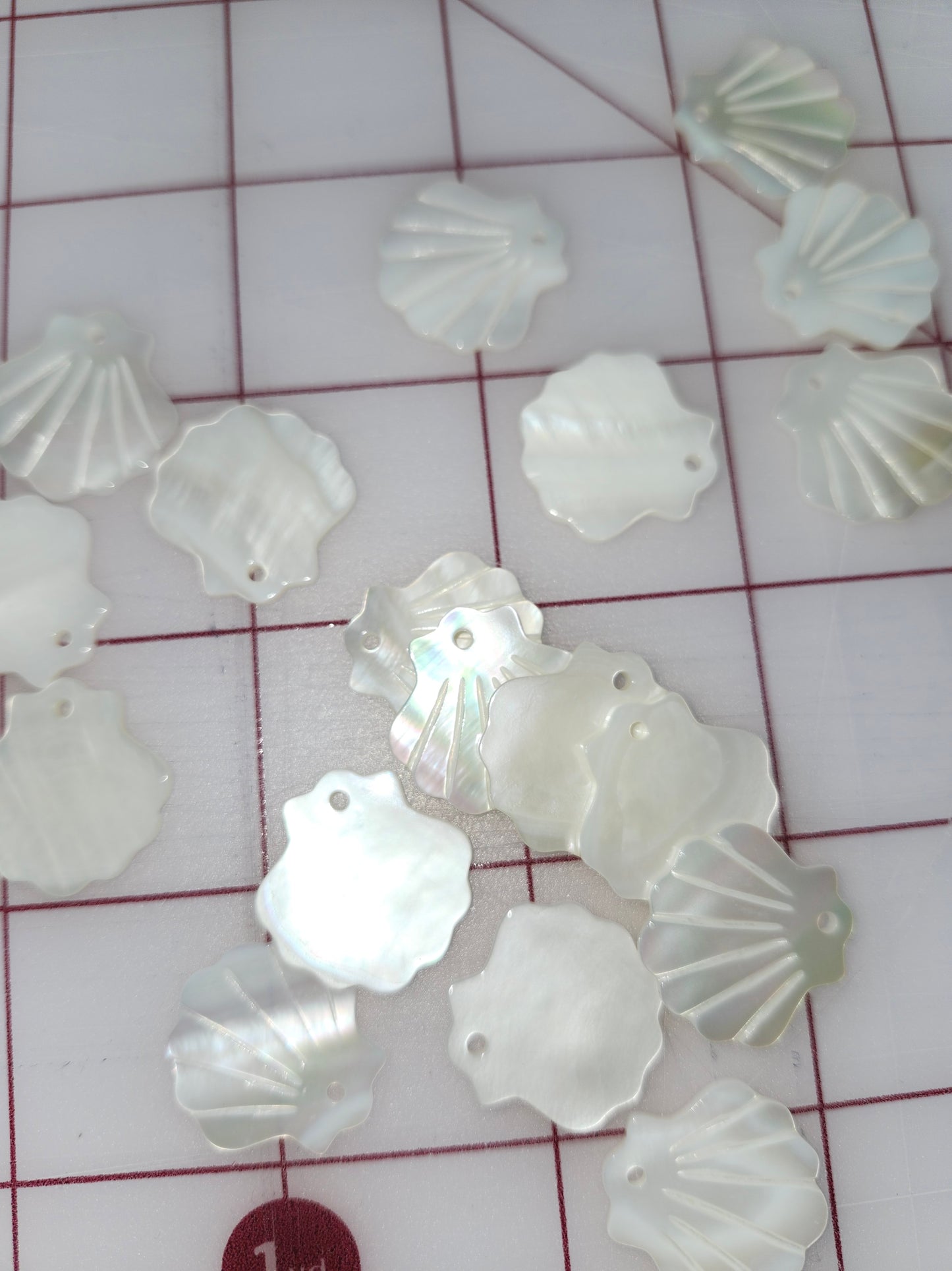 Seashell Pairs 20mm