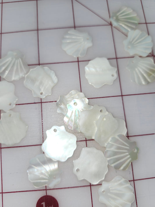 Seashell Pairs 20mm