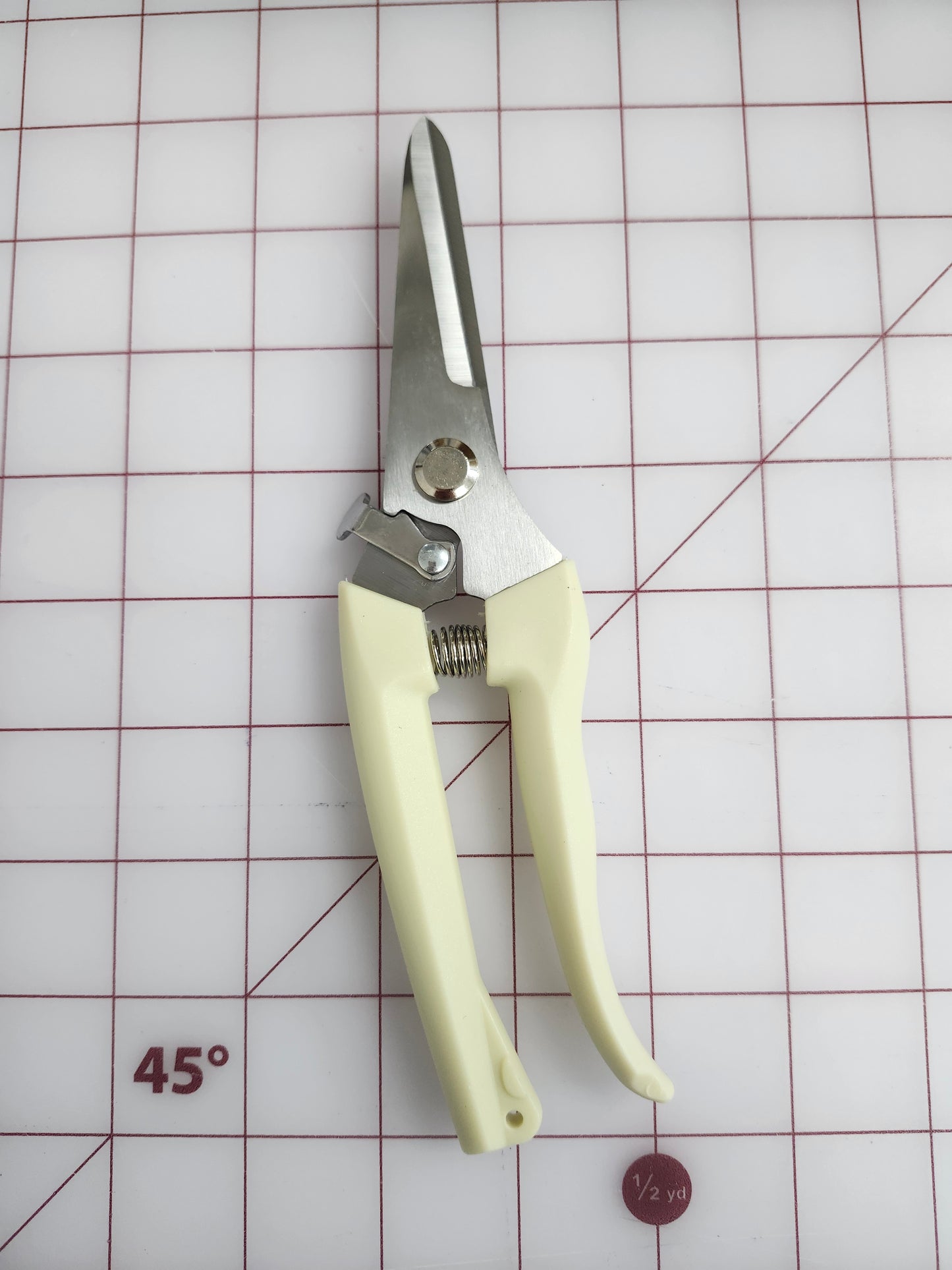 Snips
