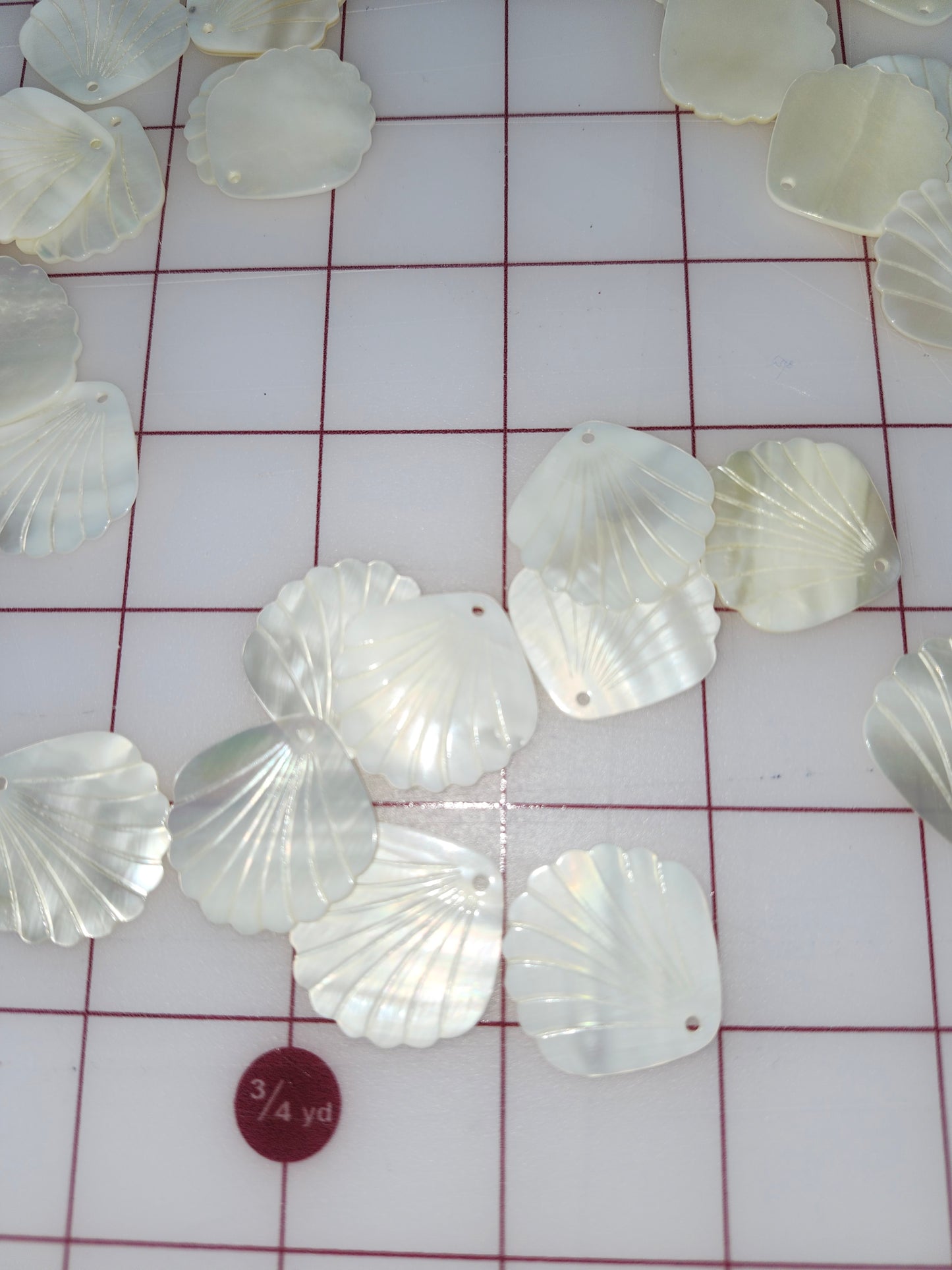 Seashell Pairs 28mm