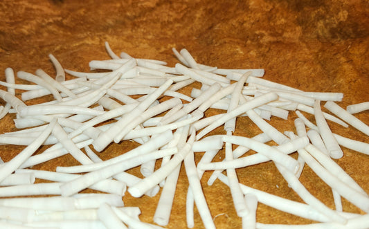 Dentalium 2"+