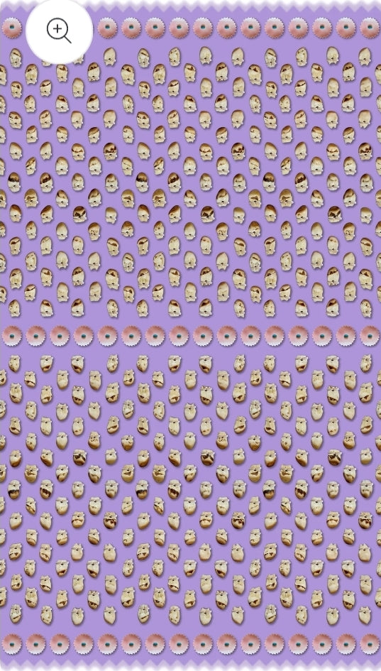 Pattern of small elk teeth on a purple background